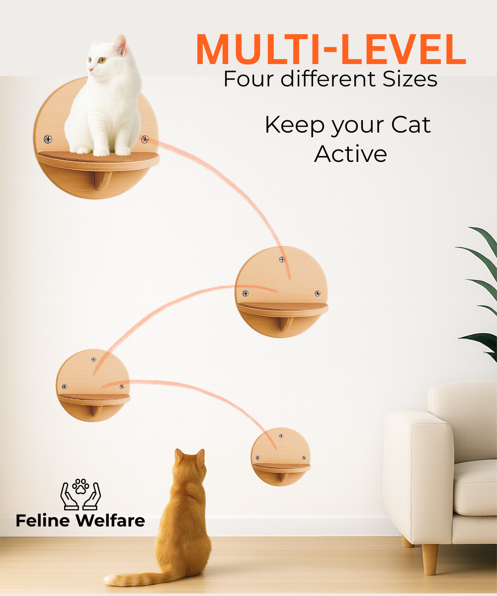 Cat Wall Shelves